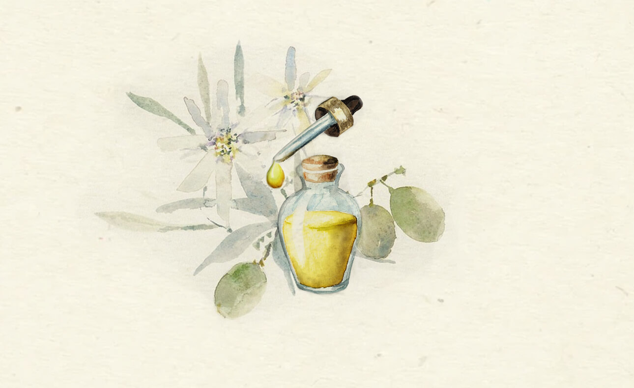 Ελαιόλαδο κατά καρκίνου