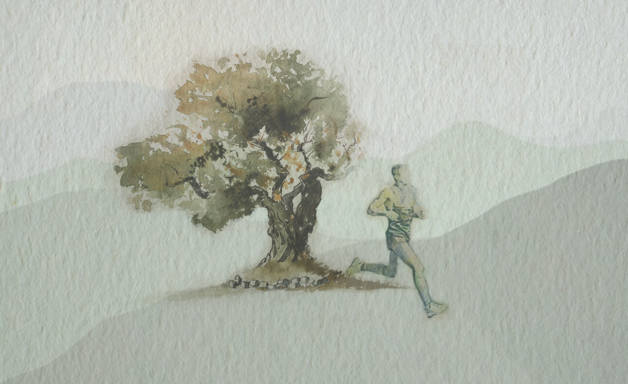 Eλαιόλαδο και υγεία οστών