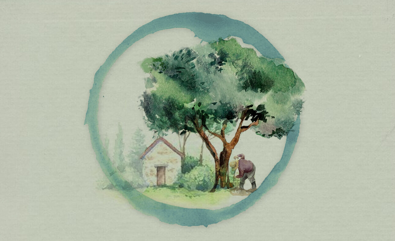 Ελαιόλαδο και καρδιά