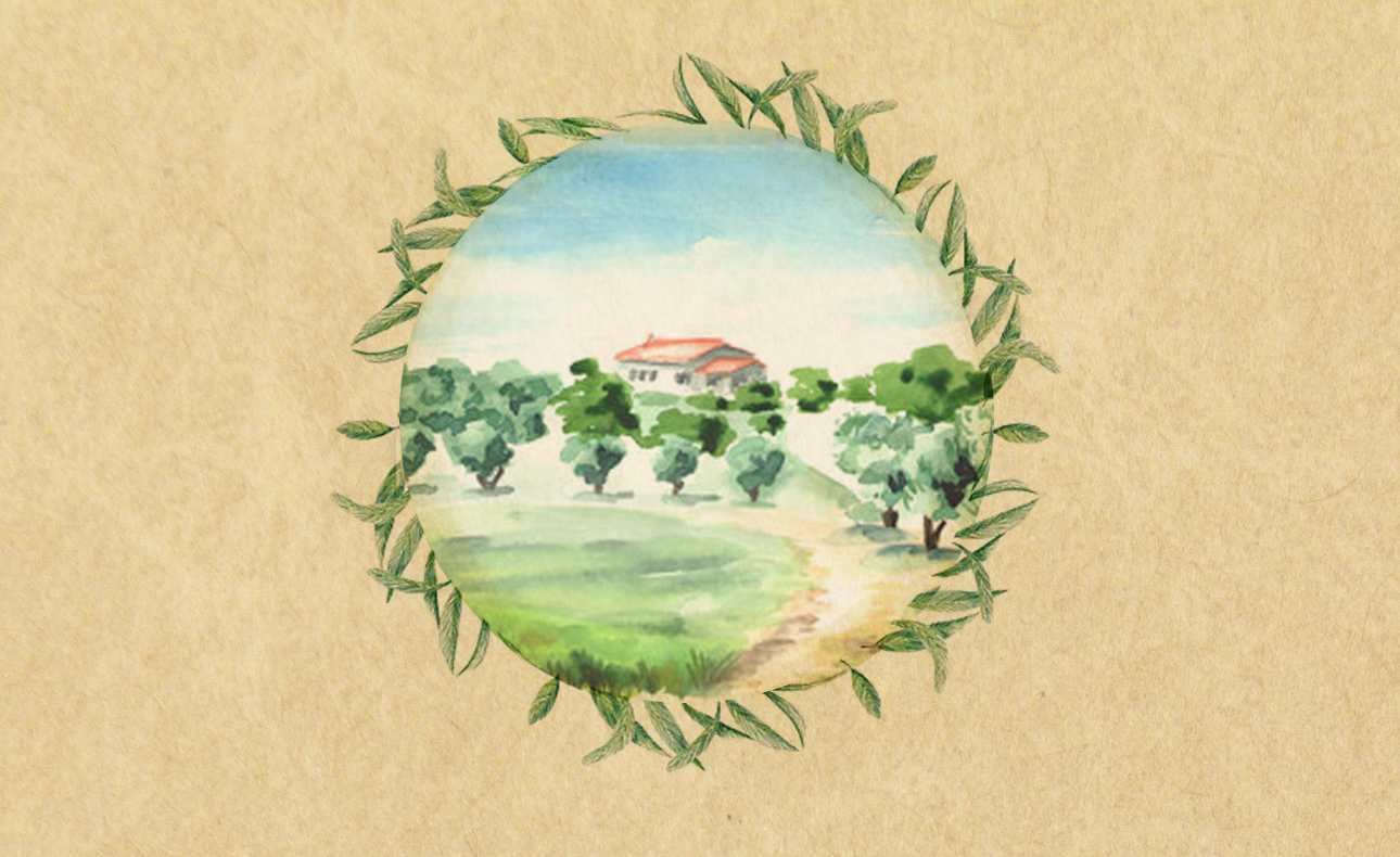 Παραγωγή Ελαιόλαδου