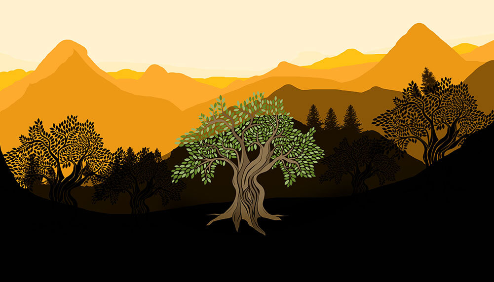 Golden Olympia Tree Cover